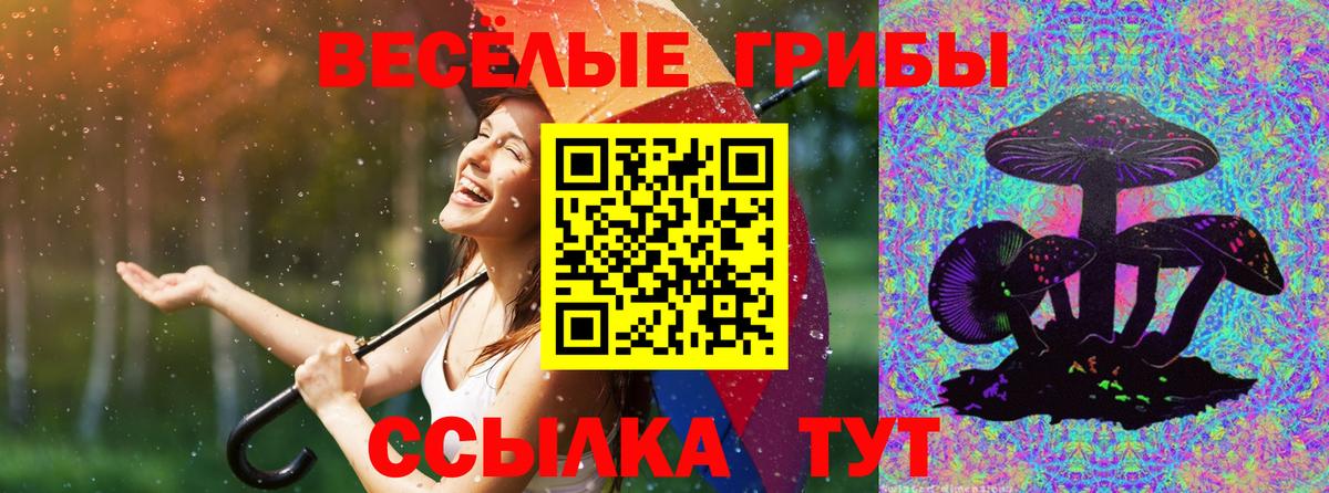 Назарово  Галлюциногенные грибы ЛСД  Вход с VPN 
